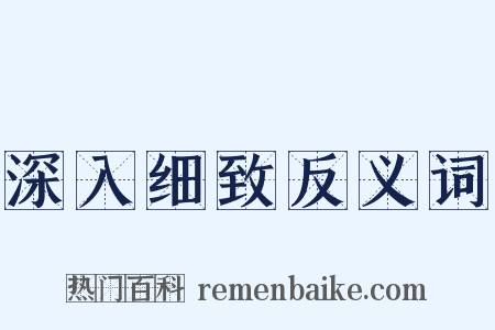 深入细致反义词是什么意思的图片